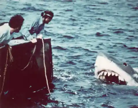 #9. Jaws