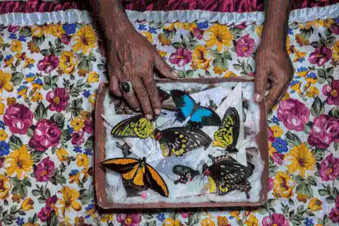 #11. Butterfly Catcher