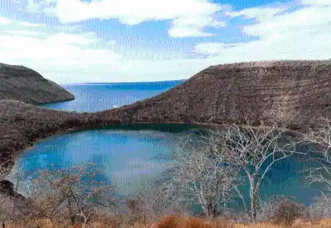 Relax In Darwin Lake, Galapagos Islands