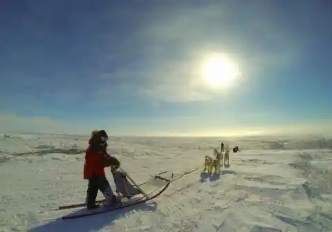 Dog Sledding – Canada