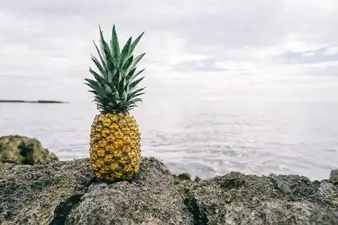 #1. Flying Pineapple