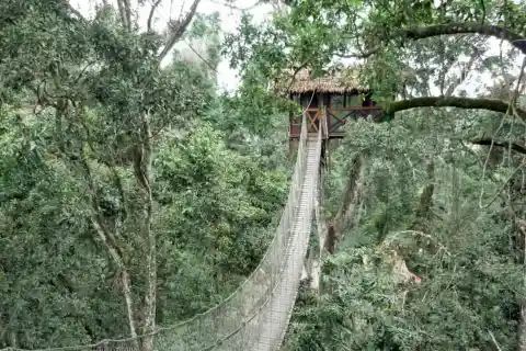 Inkaterra Reserva Amazonica