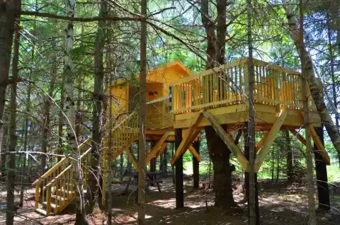 Miramichi Treehouse