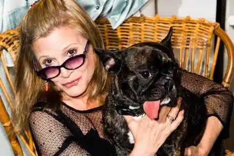 #3. Carrie Fisher, The Animal Portrait Lover