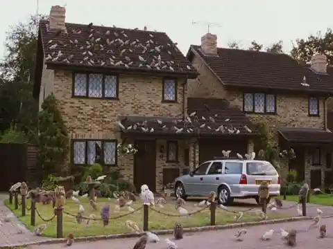 The Harry Potter House