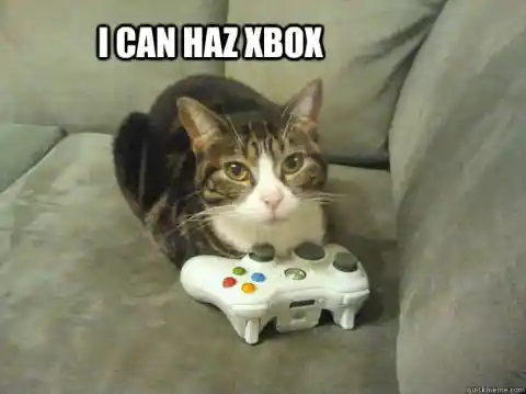 #11. Gamer Kitty Cares