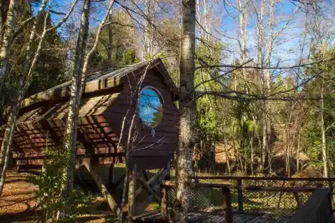 Huilo Huilo Biological Reserve Canopy Village