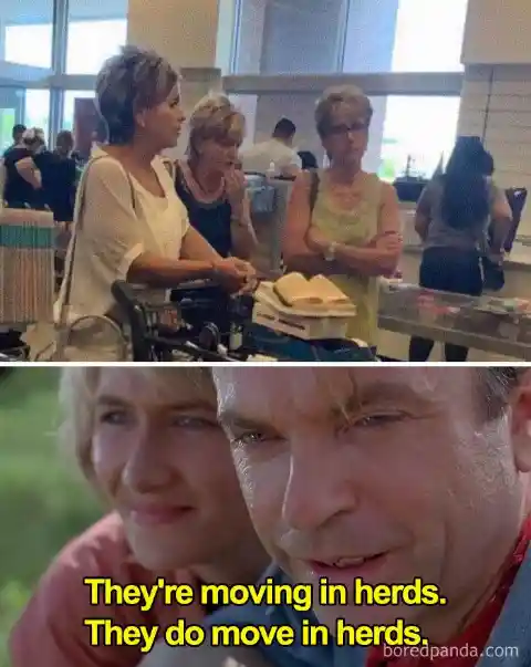 #1. Women Who Move In Herds