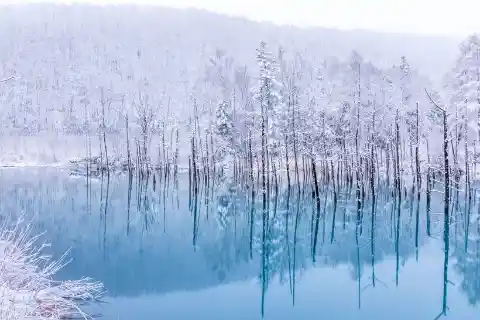 Blue Pond, Hokkaido, Japan