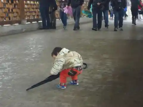 Toddlers Don't Wear Diapers