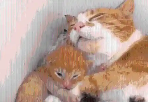 A Mother's Love